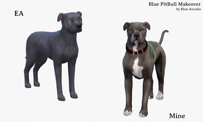 Sims 4 Blue PitBull Makeover (second version) at Blue Ancolia