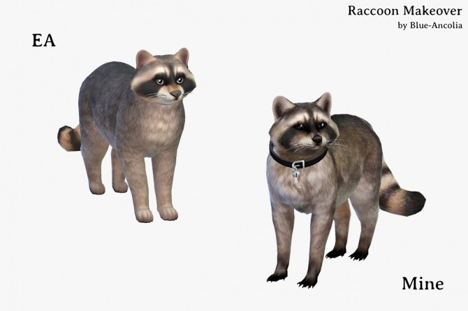 Sims 4 Raccoon Makeover at Blue Ancolia