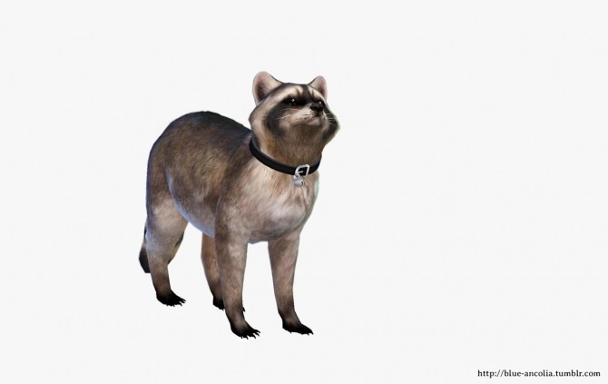 Sims 4 Raccoon Makeover at Blue Ancolia