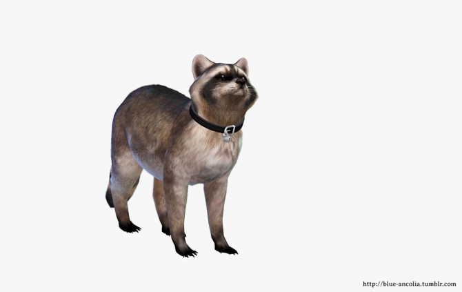 Sims 4 raccoon downloads » Sims 4 Updates