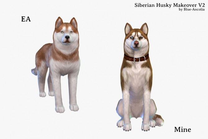 Sims 4 Siberian Husky Makeover (second version) at Blue Ancolia