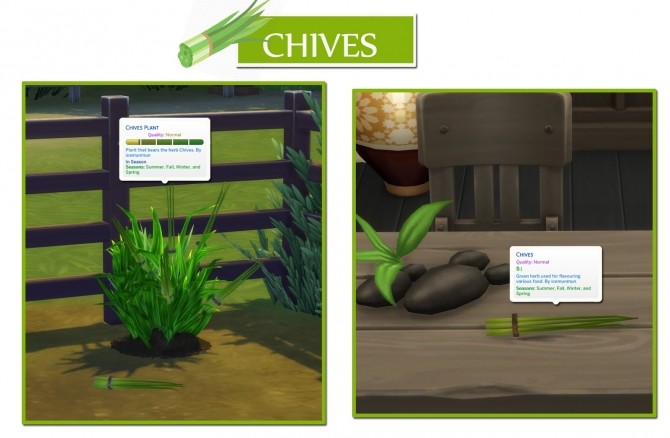 Sims 4 HARVESTABLE CHIVES at Icemunmun