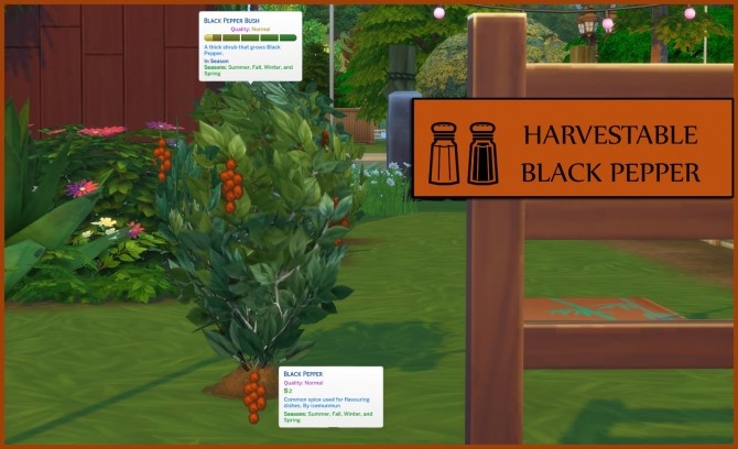 Sims 4 HARVESTABLE BLACK PEPPER at Icemunmun
