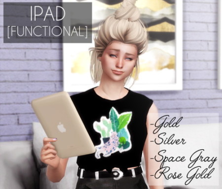 Functional iPad at Descargas Sims