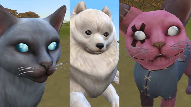 Sims 4 Hollow Rainbow Pet Eyes Cats, Large Dogs, Small Dogs by SatiSim at Mod The Sims