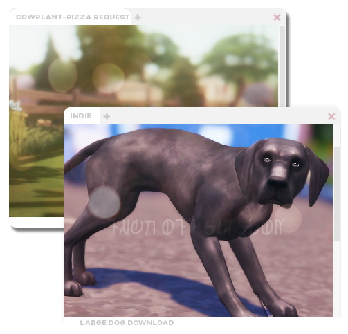 Sims 4 Indie dog at ohbluir