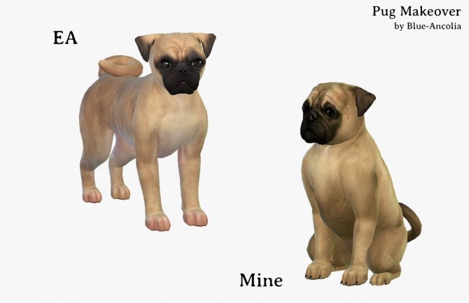 Sims 4 Pug Makeover at Blue Ancolia