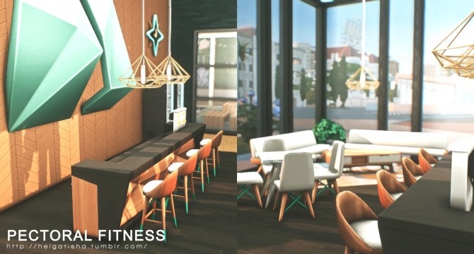 Sims 4 Pectoral Fitness Gym at Helga Tisha
