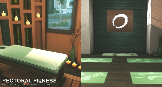 Sims 4 Pectoral Fitness Gym at Helga Tisha