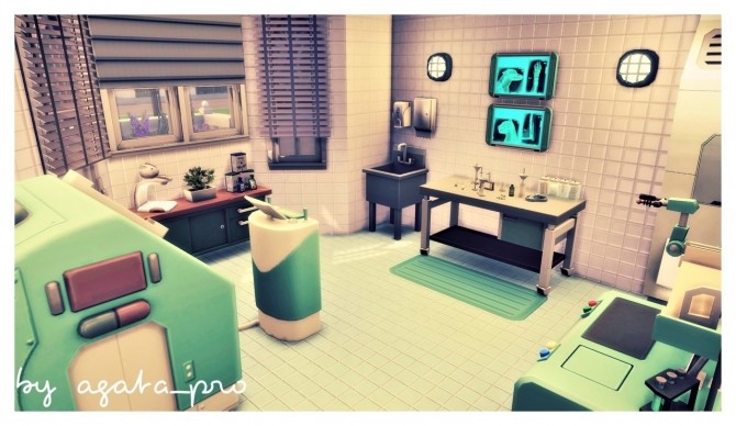 Sims 4 Cameral Vet at Agathea k