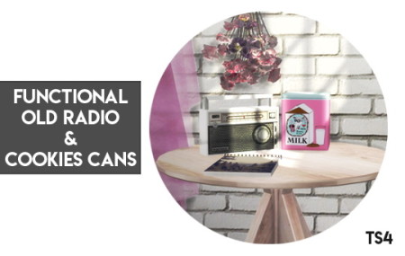 Functional Radio and Cookies Cans at Descargas Sims