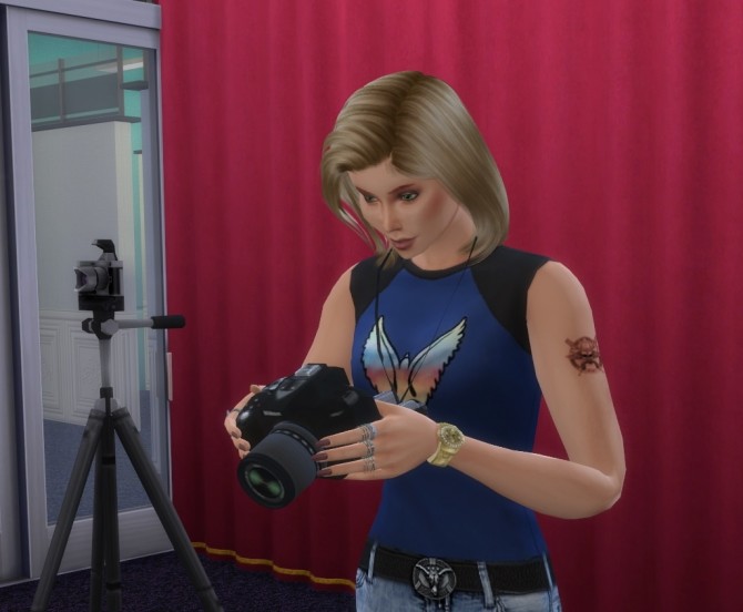 Sims 4 Viable Photography by aldavor at Mod The Sims