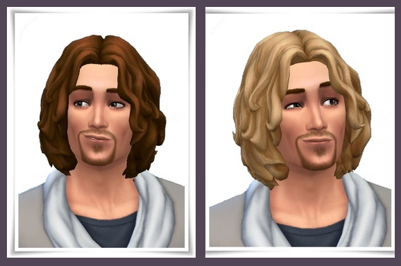 Sims 4 Chin Waves hair for Him at Birksches Sims Blog