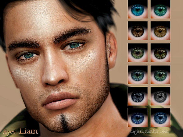 Sims 4 Liam eyes by ANGISSI at TSR