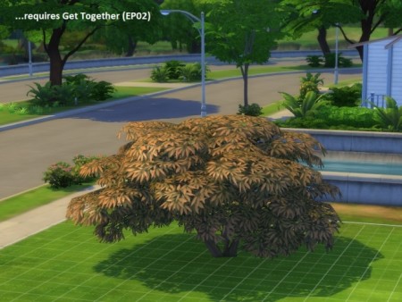 4 unlocked plants (2 trees and 2 shrubs) by poisson at Mod The Sims