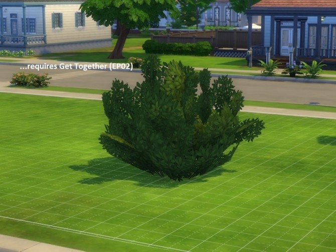 Sims 4 4 unlocked plants (2 trees and 2 shrubs) by poisson at Mod The Sims