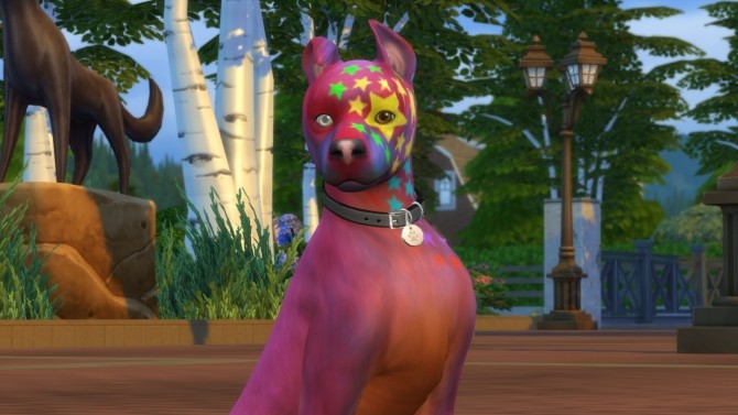 Sims 4 Rocco Superstar Mixed Breed Dog Basenji by PetWorld456 at Mod The Sims