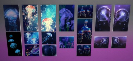 Jellyfish pictures by Meryane at Beauty Sims