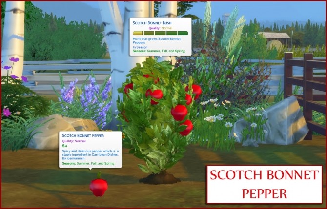 Sims 4 HARVESTABLE SCOTCH BONNET PEPPER at Icemunmun