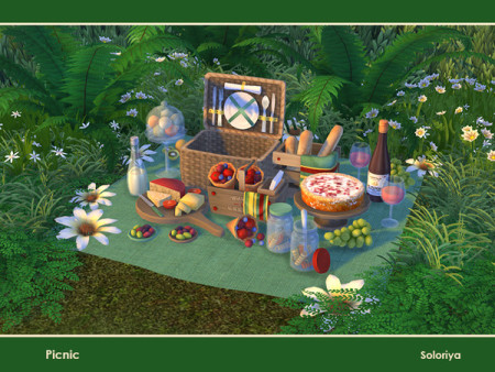 Picnic set by soloriya at TSR
