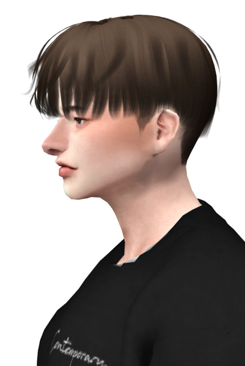 Sims 4 Buseu Hair at Lemon Sims 4