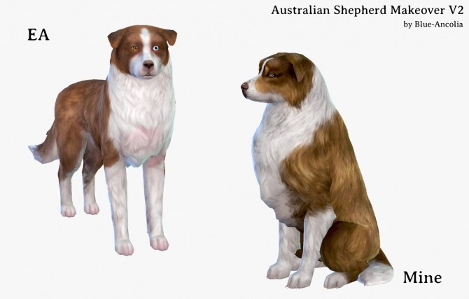 Sims 4 Australian Shepherd Makeover V2 at Blue Ancolia