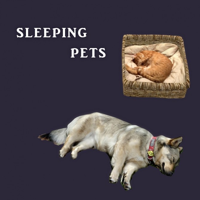 Sims 4 Sleeping Pets at Leo Sims