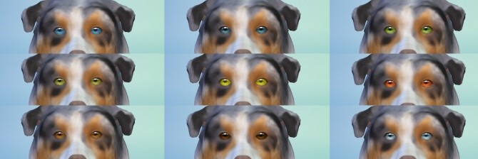 Sims 4 Aveira Eyes N15 for Pets Default Replacement by Nova JY at Mod The Sims