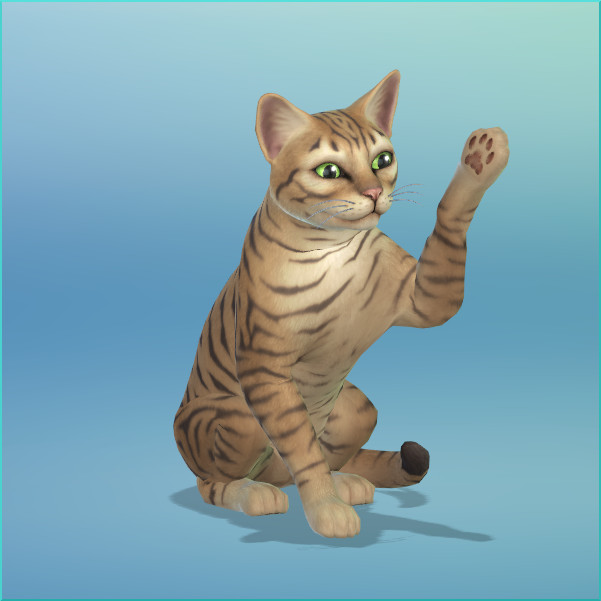 Sims 4 Miss Hartnell and her cat at KyriaT’s Sims 4 World