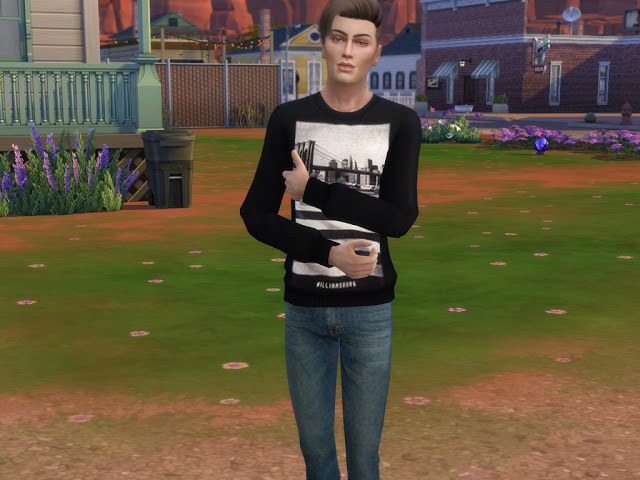 Ronan Shapiro at MSQ Sims » Sims 4 Updates