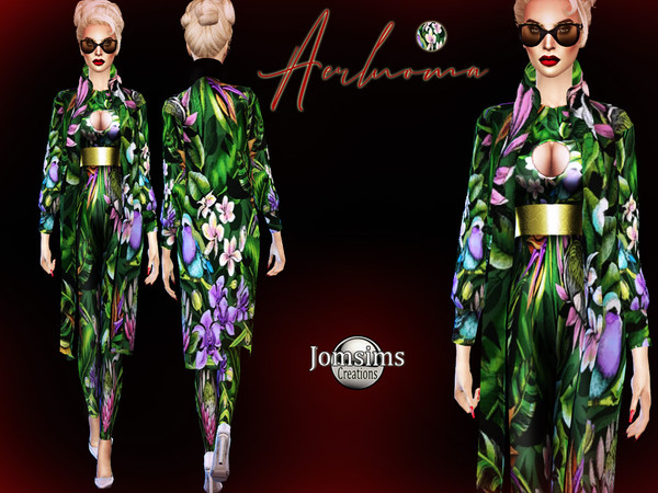 Sims 4 Aerlnoma outfit by jomsims at TSR