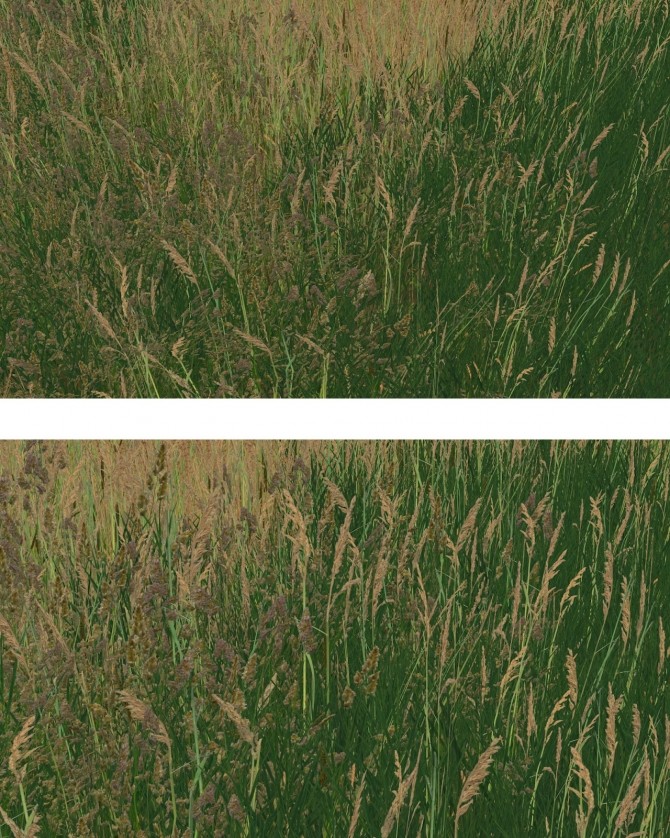 Sims 4 Retextures Grass of Windenburg at Alf si