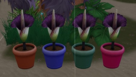 The Titan Arum from The sims 2 M&G by sismik at Mod The Sims