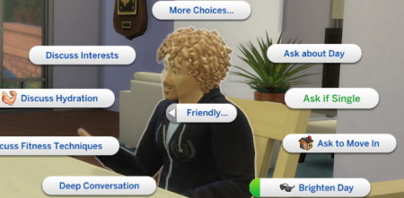 Ask if Single Interaction for Friendly Pie Menu by mrcnlbyrk at Mod The Sims