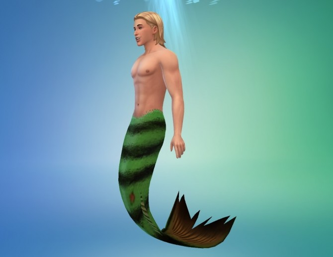Sims 4 The Down Under Mermaid Set by SpinningPlumbobs at Mod The Sims