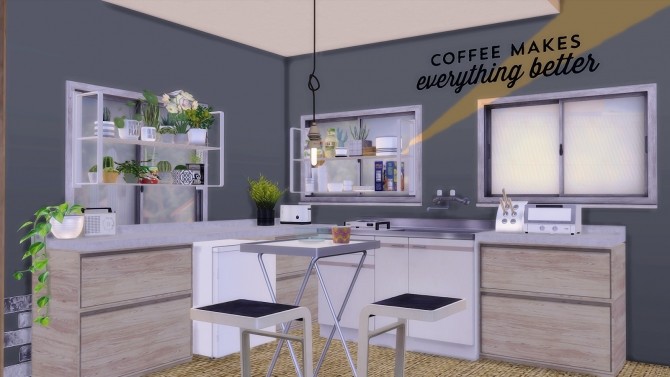 Sims 4 ECO LIFESTYLE HOUSE at SoulSisterSims