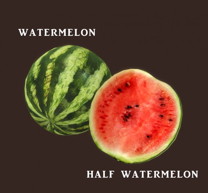 Sims 4 Watermelon at Leo Sims