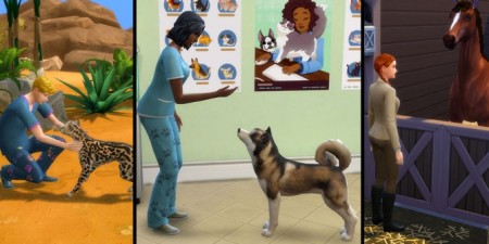 Animal Care Career by Simirii at Mod The Sims