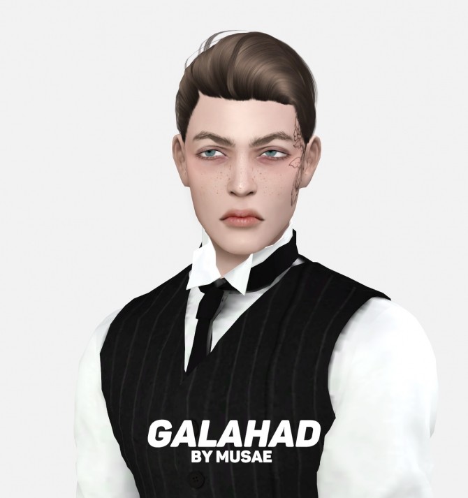 Sims 4 Galahad Hair at EFFIE