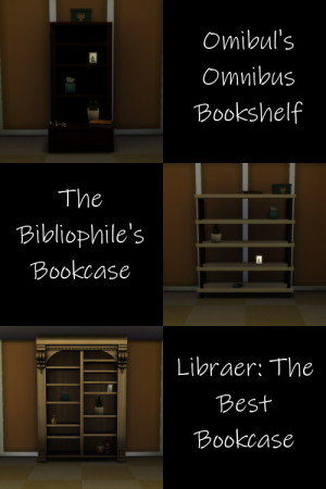Empty Get to Work Bookshelves with Slots by Teknikah at Mod The Sims