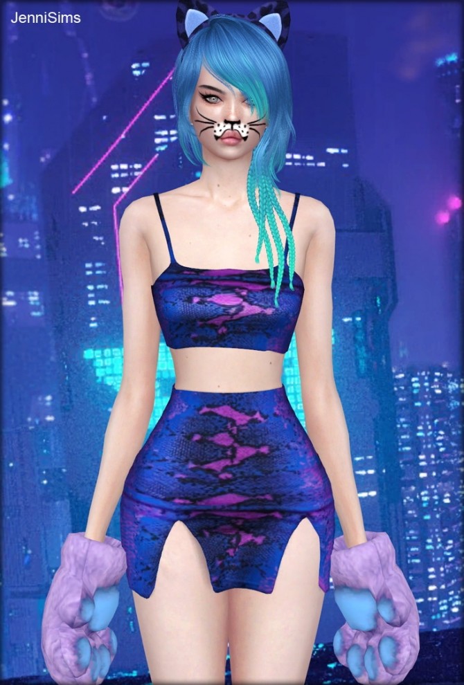 Sims 4 Collection Acc Cats Of City at Jenni Sims