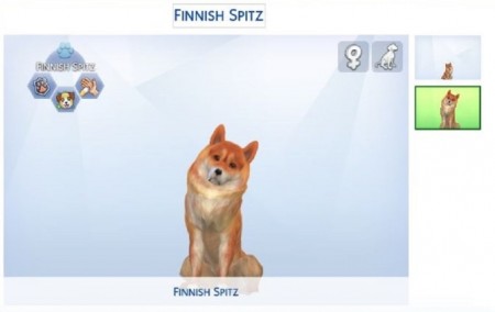Finnish Spitz by ScientificallyCorrect82 at Mod The Sims