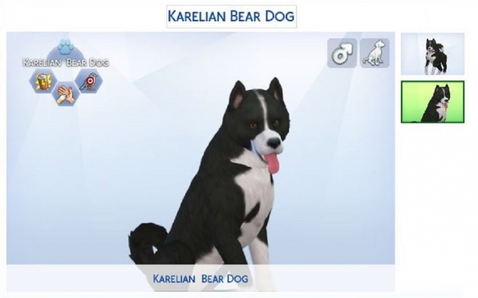 Karelian Bear Dog by ScientificallyCorrect82 at Mod The Sims » Sims 4 ...