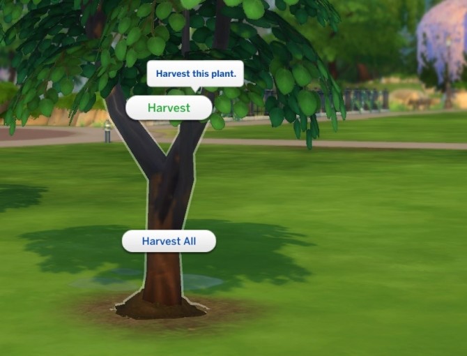 Sims 4 Harvesting for Children (Updated) by jackboog21 at Mod The Sims