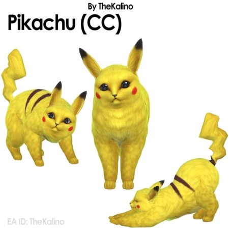 Pikachu with CC at Kalino