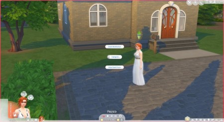 Influence Emotions Fix by leroidetout at Mod The Sims