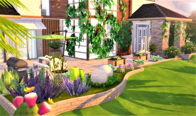 Sims 4 Blooming Cactus Villa at Agathea k