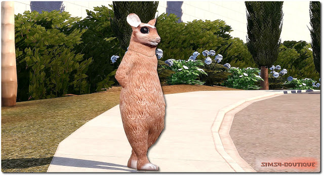 Sims 4 Hamster Costume at Sims4 Boutique