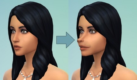 Snouts for Sims by CatmumCadence at Mod The Sims