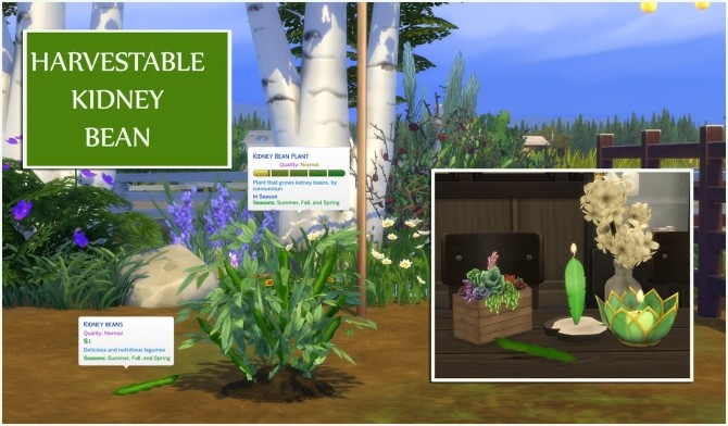 Sims 4 HARVESTABLE KIDNEY BEANS at Icemunmun